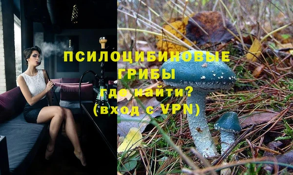 таблы Богородск